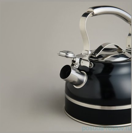 Чайник 2,7 л со свистком термоаккумулирующее дно индукция Agness  / 378421