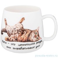 Кружка 400 мл &quot;Бери кота /Коты - это ценнейший ресурс, они вырабатывают уют&quot; / 340055